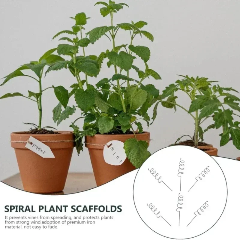 Bonsai Garden Stand - Climbing Plant Support Stake Stand Climbing