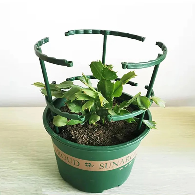 4PCS Plastic Plant Support Pil - đánh giá và giá Bonsai Garden Stand