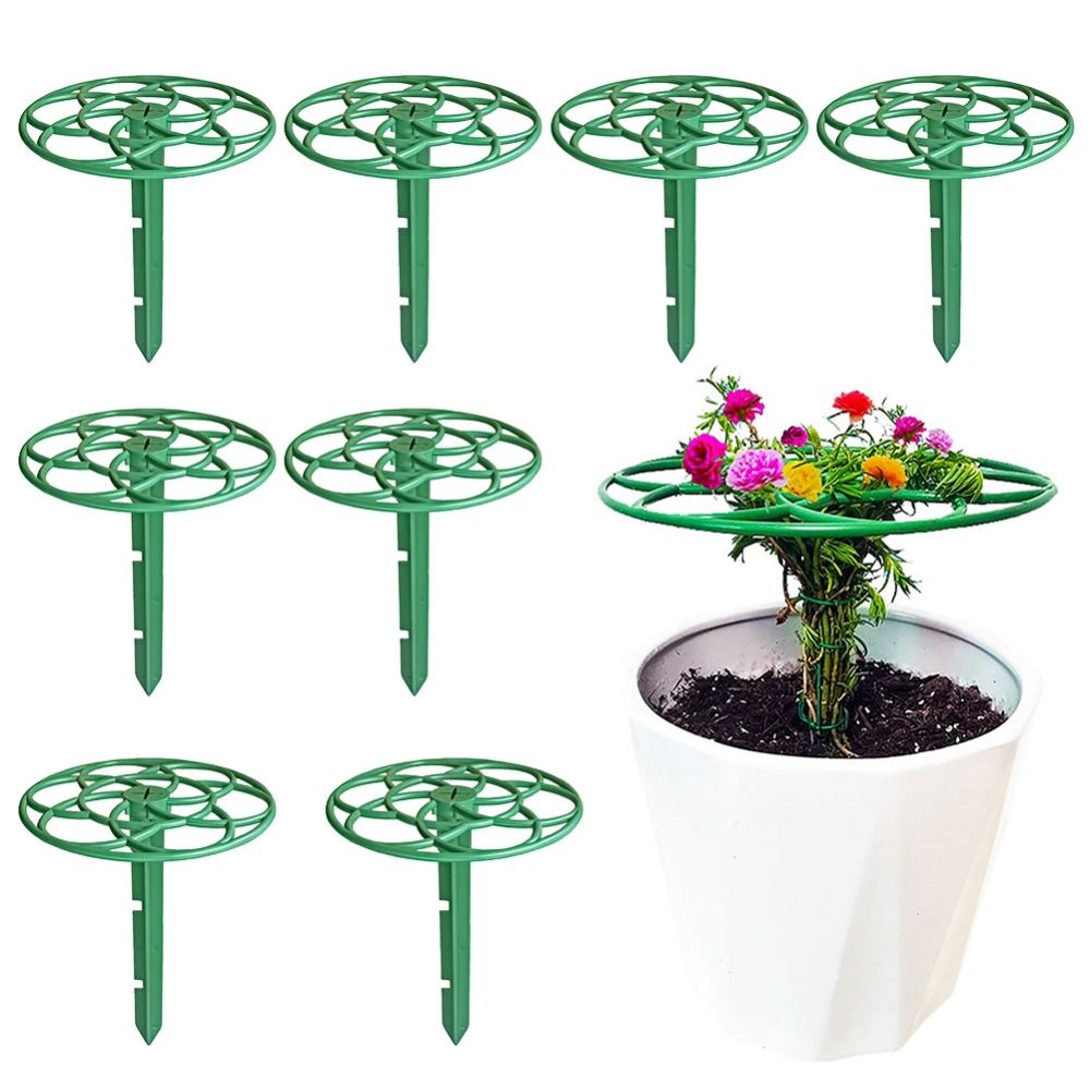 S/M/L Bonsai Climbing Frame Pl - đánh giá và giá Bonsai Garden Stand