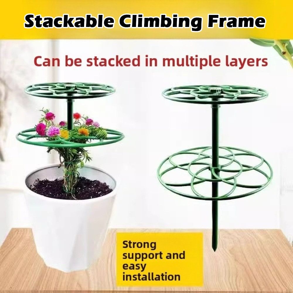 S/M/L Bonsai Climbing Frame Pl - đánh giá và giá Bonsai Garden Stand