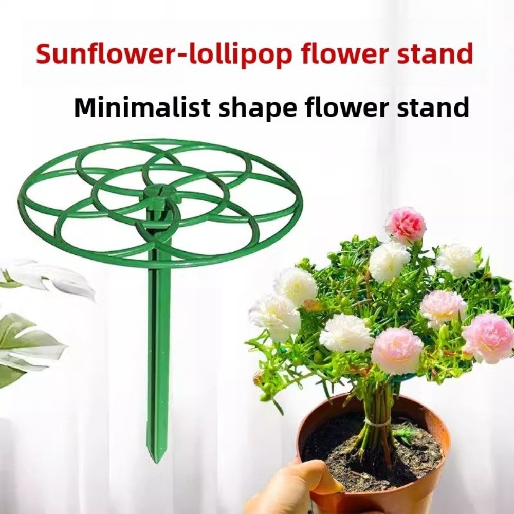 S/M/L Bonsai Climbing Frame Pl - đánh giá và giá Bonsai Garden Stand
