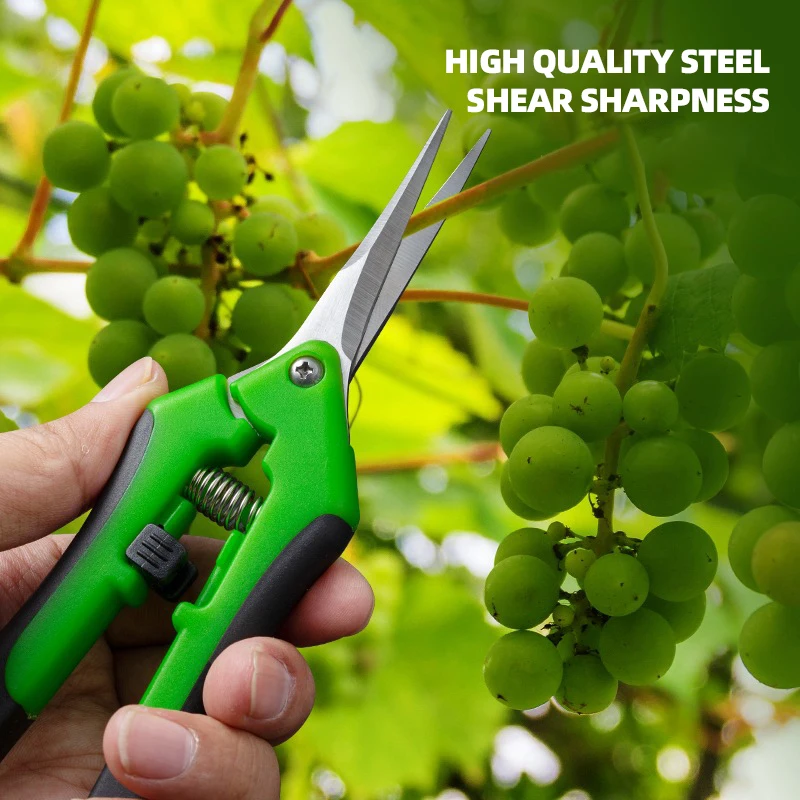 6.5-inch Pruning Scissors for  - đánh giá và giá Bonsai Garden Timings