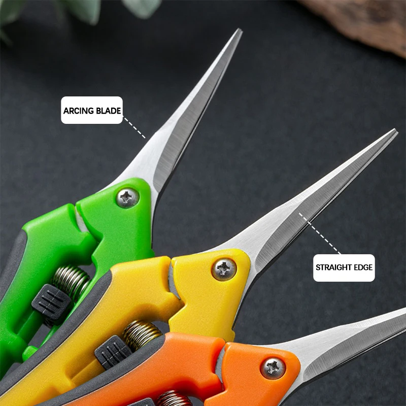 6.5-inch Pruning Scissors for  - đánh giá và giá Bonsai Garden Timings