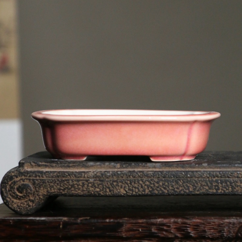 Porcelain Rectangle Bonsai Pot - đánh giá và giá Bonsai Garden China