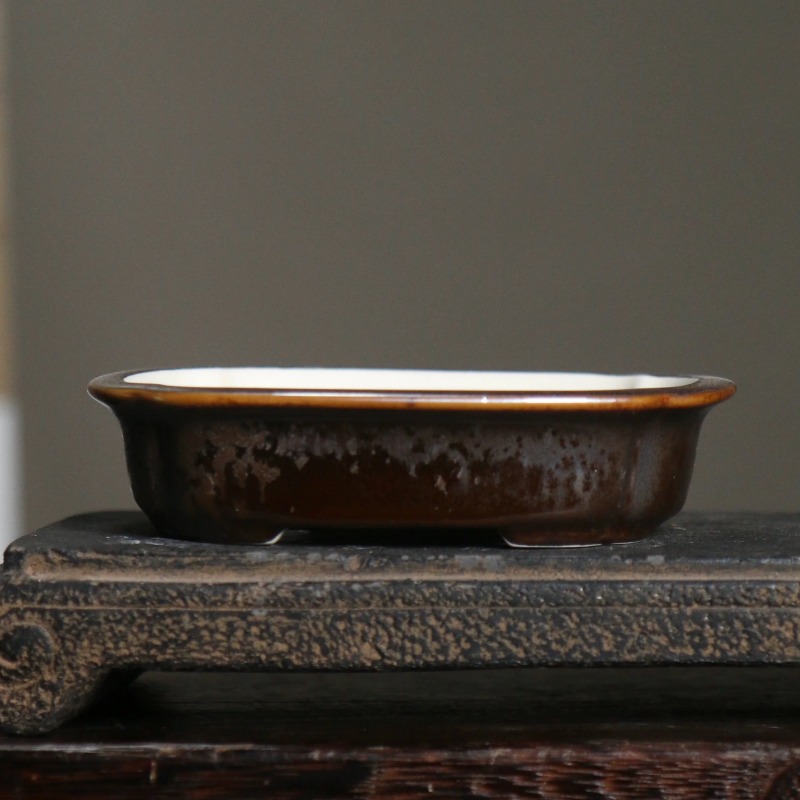 Porcelain Rectangle Bonsai Pot - đánh giá và giá Bonsai Garden China