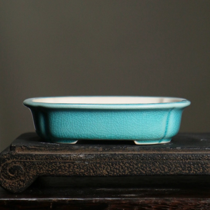 Porcelain Rectangle Bonsai Pot - đánh giá và giá Bonsai Garden China