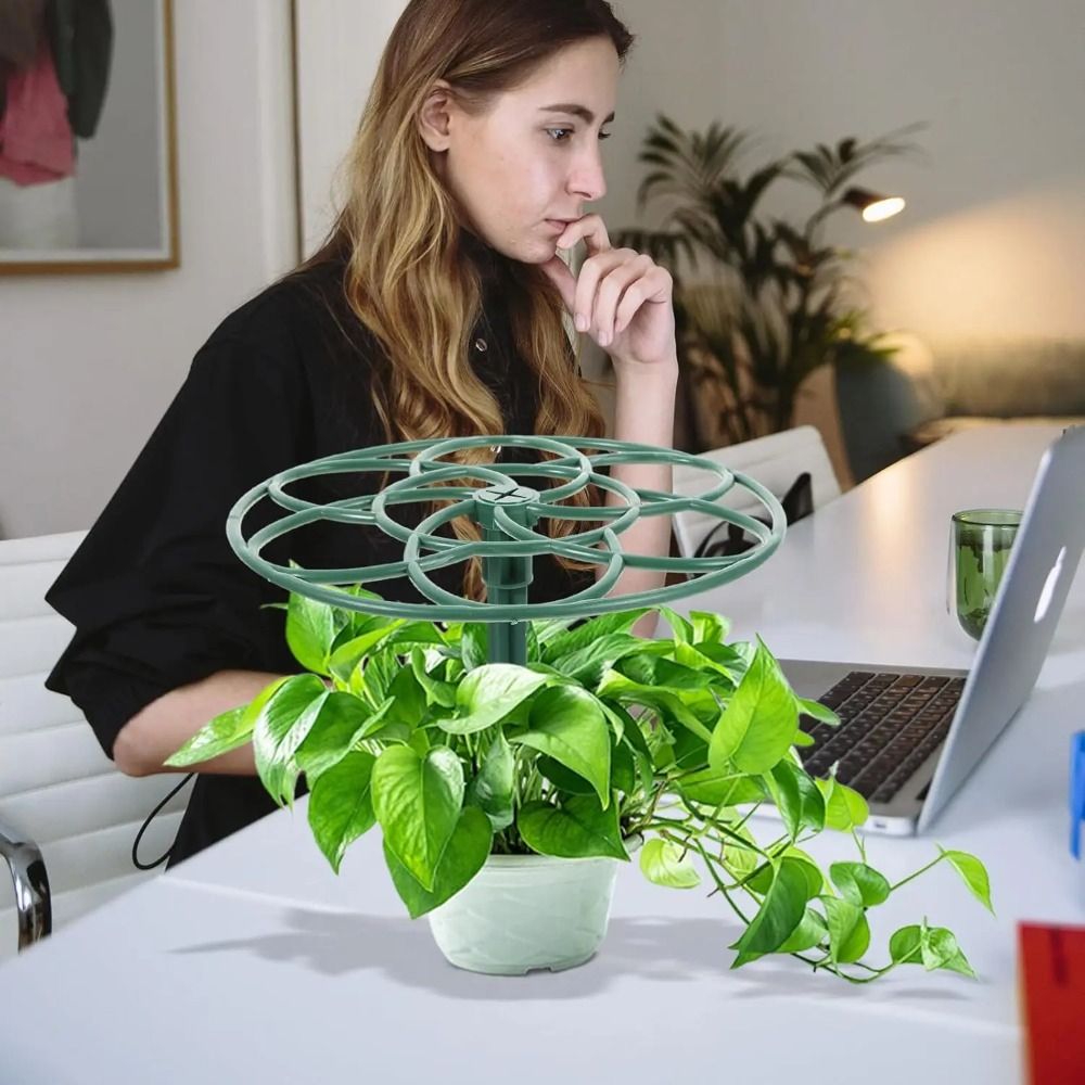 Durable S/M/L Bonsai Climbing  - đánh giá và giá Bonsai Garden Stand