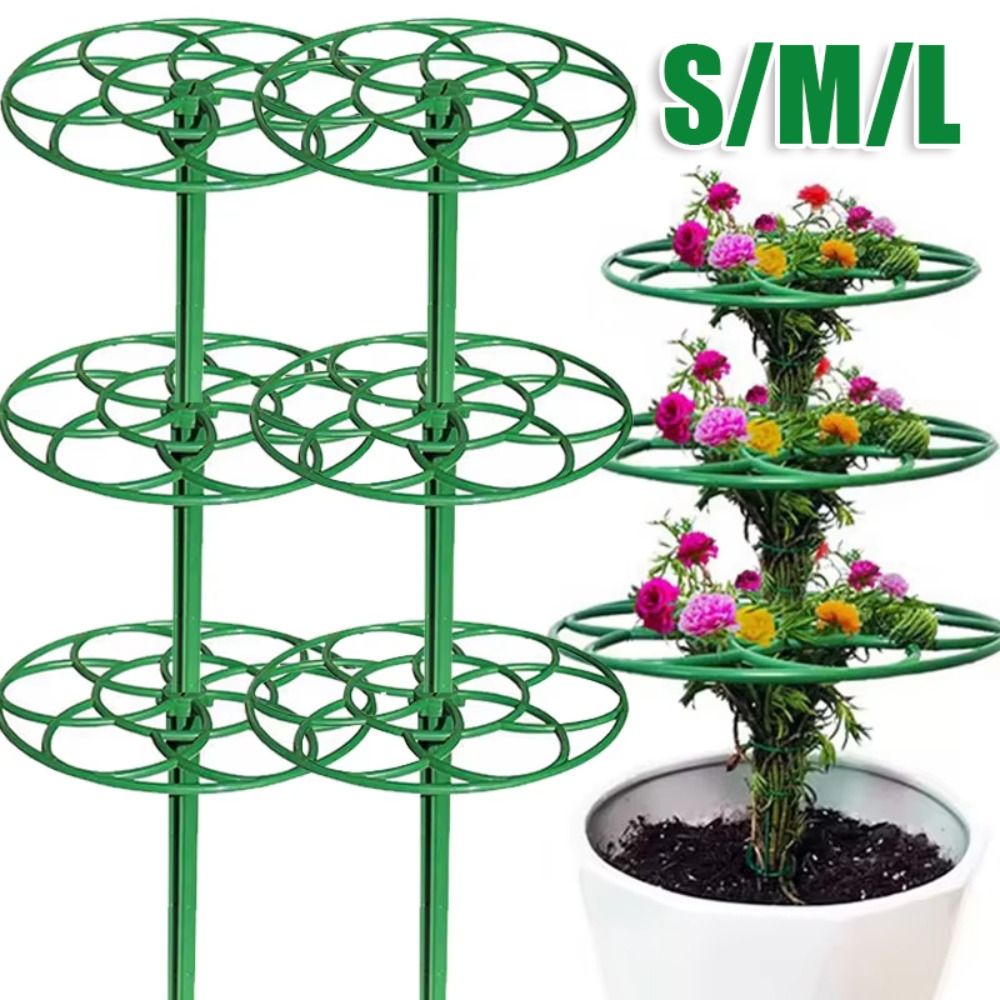 Durable S/M/L Bonsai Climbing  - đánh giá và giá Bonsai Garden Stand