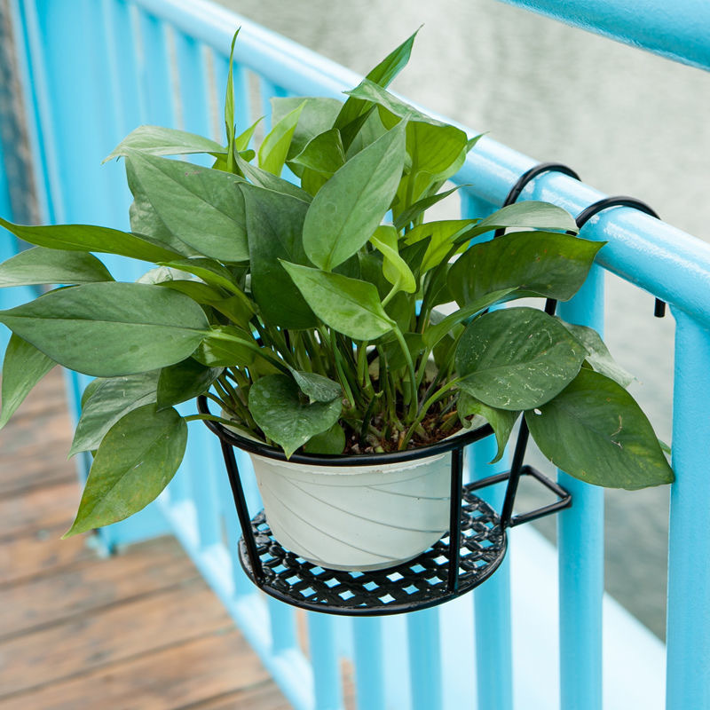 1PC Gardening Pots Outdoor Win - đánh giá và giá Bonsai Garden Stand