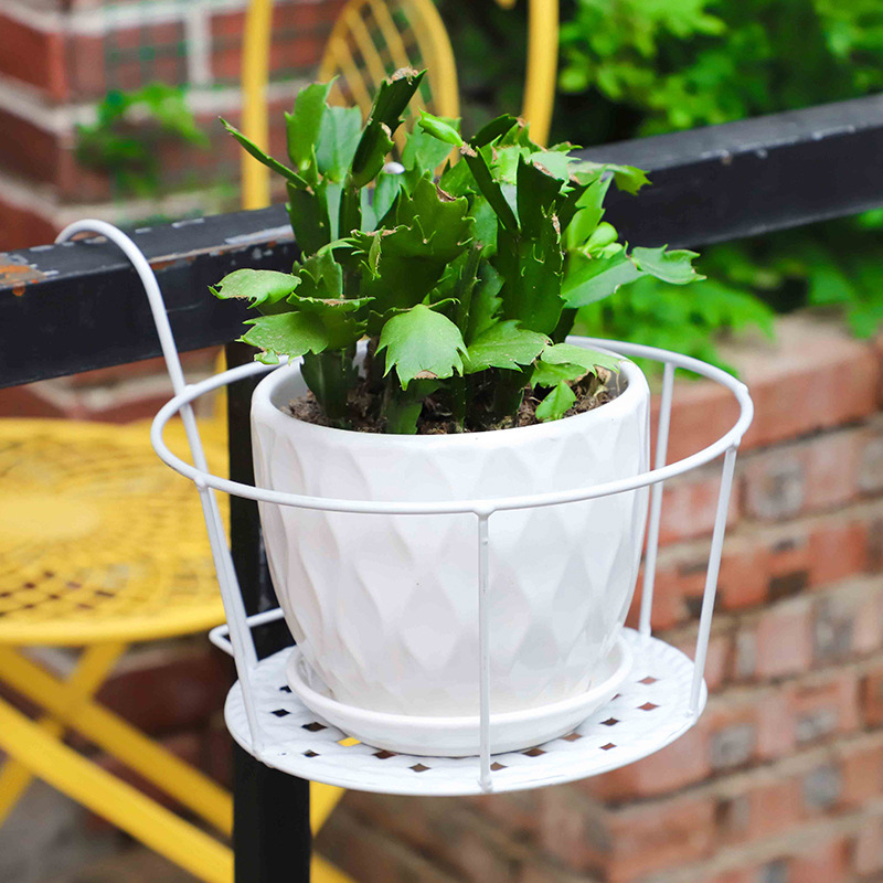 1PC Gardening Pots Outdoor Win - đánh giá và giá Bonsai Garden Stand