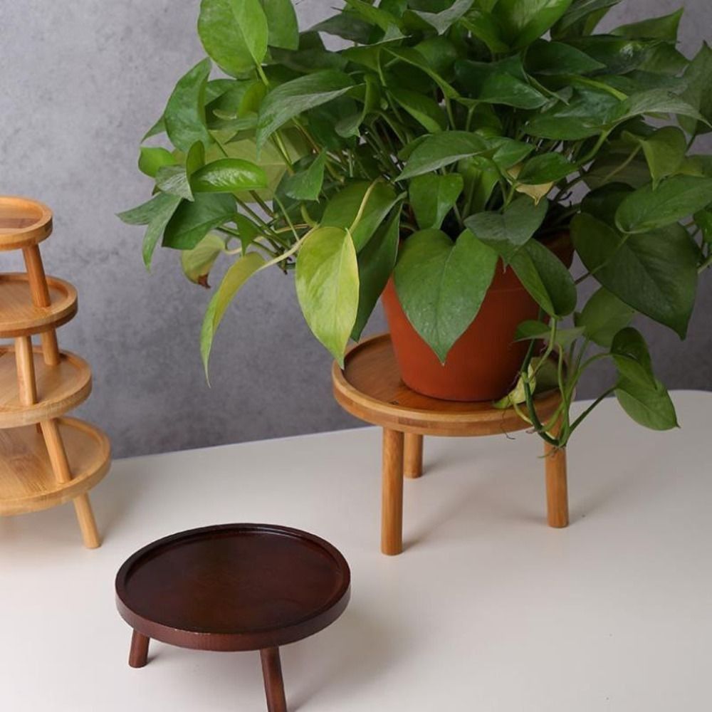 Solid Creative Succulent Flowe - đánh giá và giá Bonsai Garden Stand