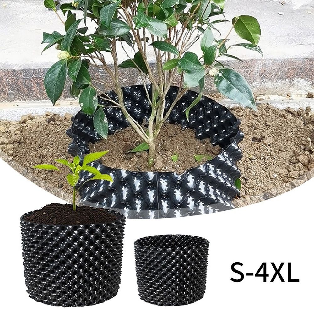 1Set New Fast Nersery Pot Plan - đánh giá và giá Bonsai Garden Stand