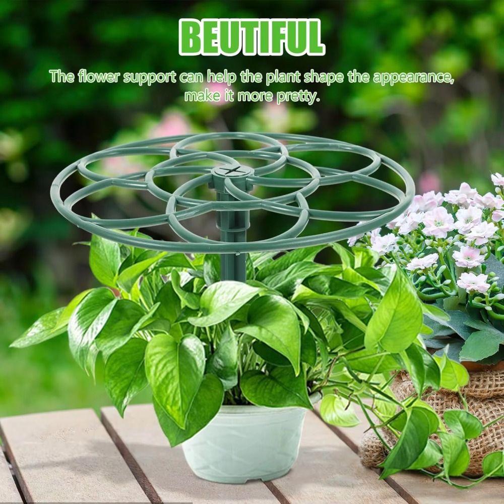 New S/M/L Bonsai Climbing Fram - đánh giá và giá Bonsai Garden Stand