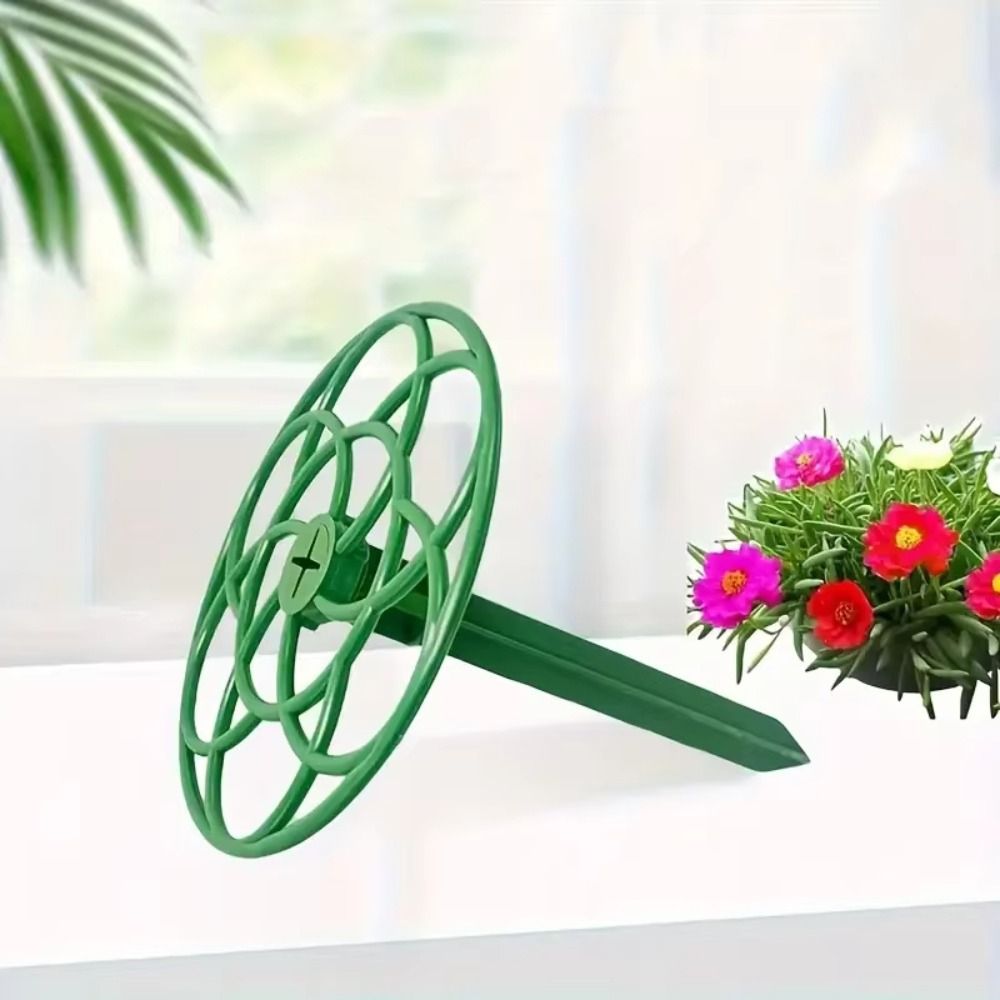 New S/M/L Bonsai Climbing Fram - đánh giá và giá Bonsai Garden Stand