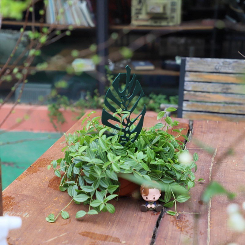 Plant Climbing Support Stand F - đánh giá và giá Bonsai Garden Stand