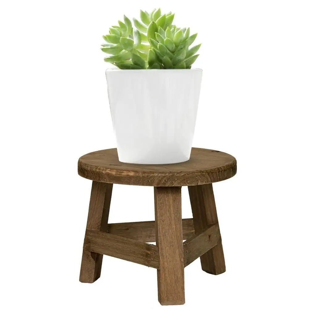 Modern Bonsai Rack Wooden Mini - đánh giá và giá Bonsai Garden Stand